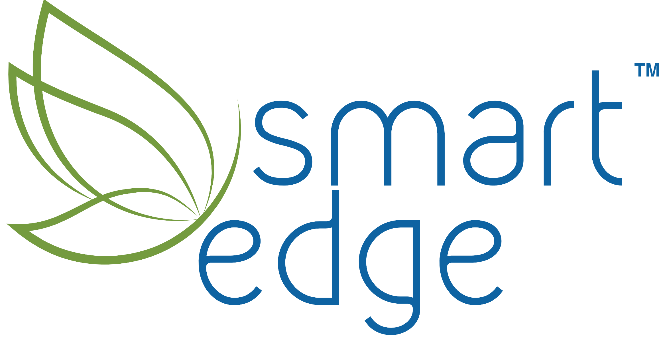 Smart Edge